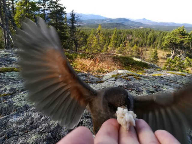 Смазанные фотки тоже крутые