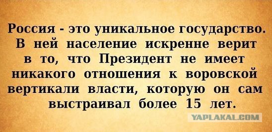 Мое обращение к Бастрыкину в СК РФ