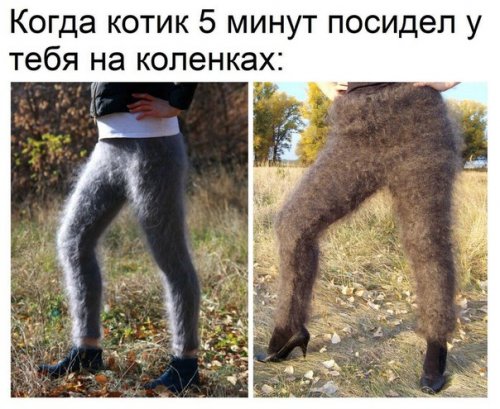 Просто юмор 22