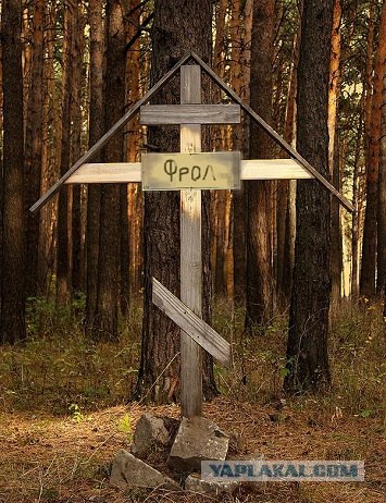 "Бомжики"