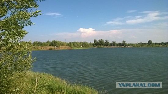 Природа моего края