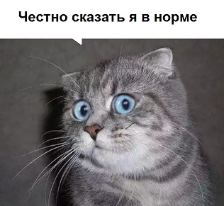 Ох, не этой реакции ожидал хозяин от своего пса