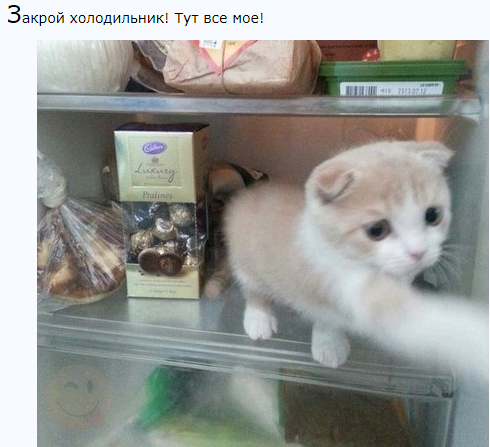 Холодильник 3