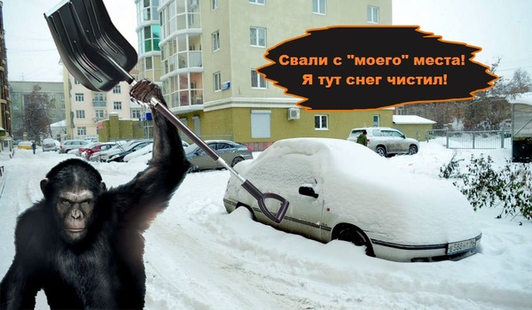 Вред дворовых парковочных цепей