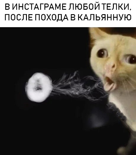 Немного картинок для настроения
