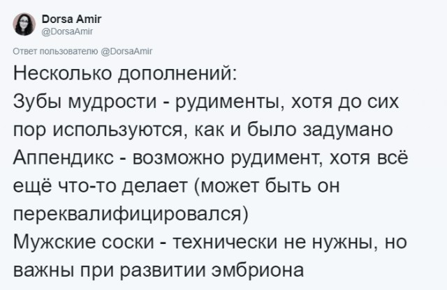 Антрополог рассказала, какие органы в человеческом теле лишние и для чего они были нужны раньше