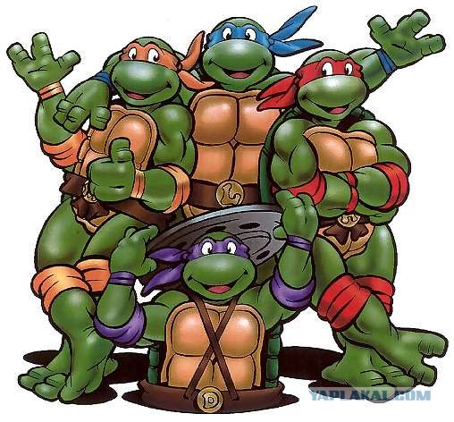 Черепахи умирают молча