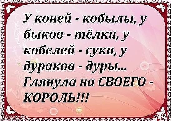 Почему у баб все мужики козлы?