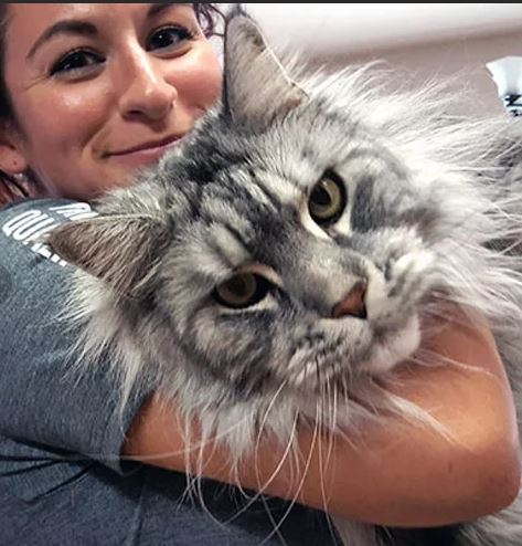 20+ человек, которые заводили собаку, а получили комнатного медведя