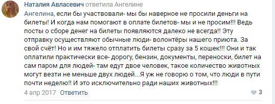 Помогите вернуть кота! Приют "Преданное сердце" украл кота и не отдает!-2