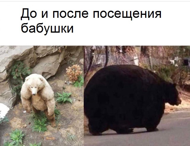 Картинки ни о чем на ночь глядя