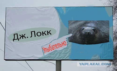 Орган работает! (8 фото)