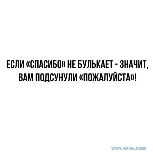 Бредзона 09.09.2020