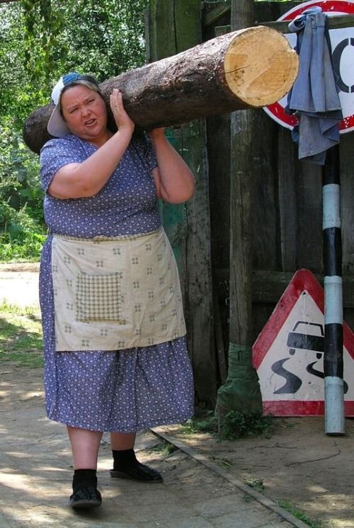 фотожаба: с бревном