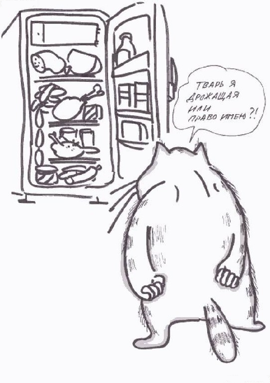 С котопятницей! Улыбнемся?