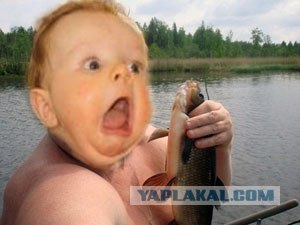 Где тут тормооооз?!