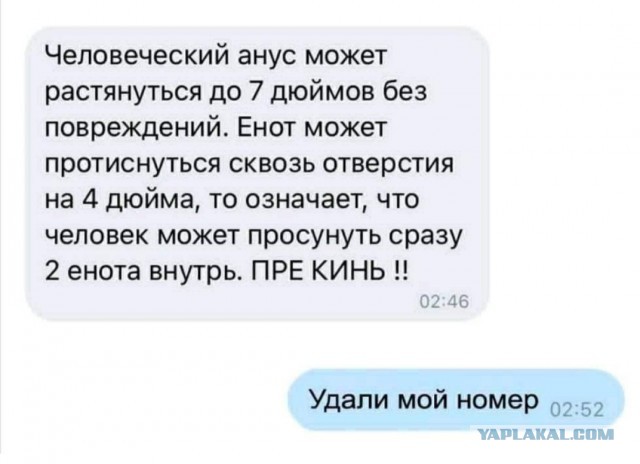 Бредзона 05.01.2021