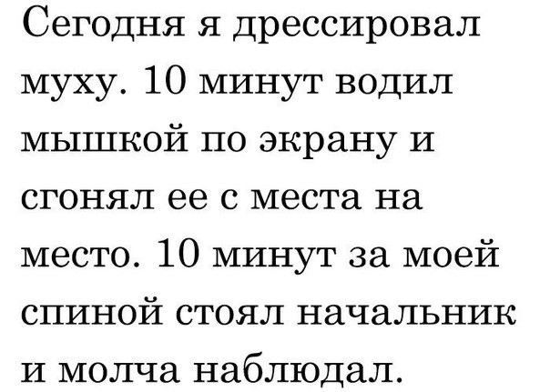 Немного разностей, шалостей и пушистостей