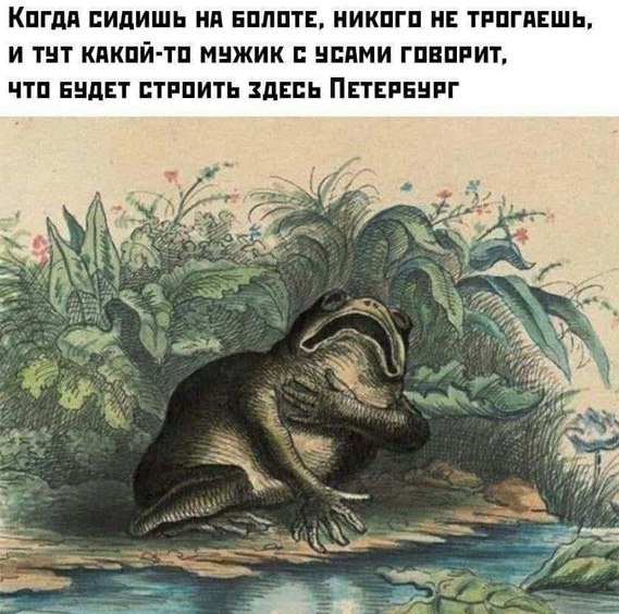 Так себе картинки 23.05.21
