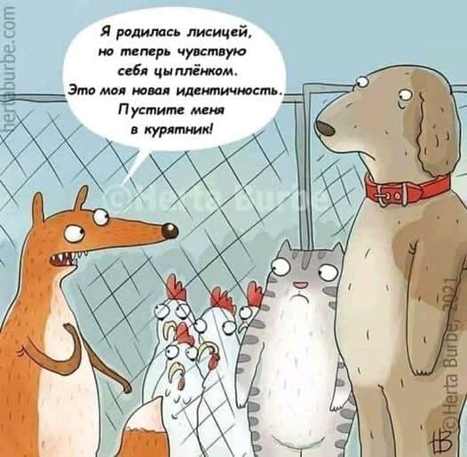 Весёлый полтишок 26.07