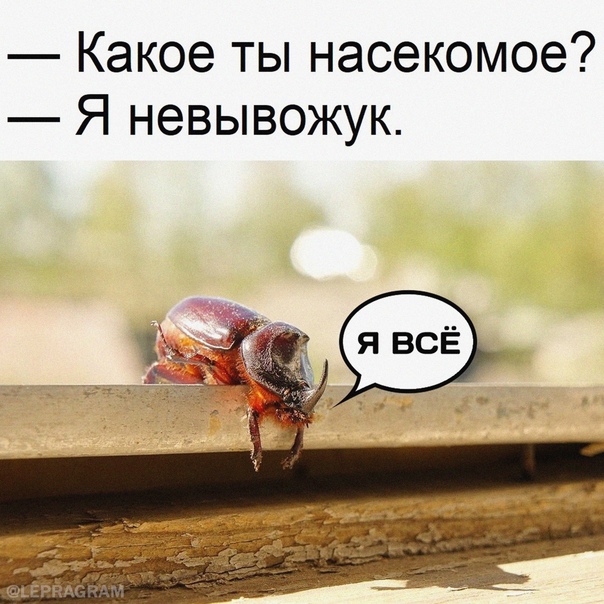 Картинки и мемы для настроения 05.10.2021