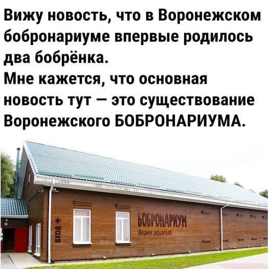 16141384.jpg