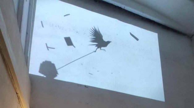 Aлбания в эпоху ХВОРИ всеобщей (2021)