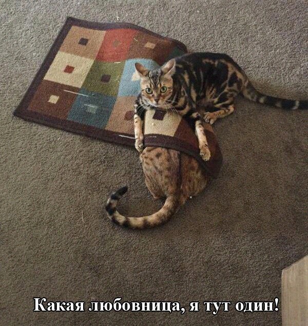 Так себе картинки 16.12.2021