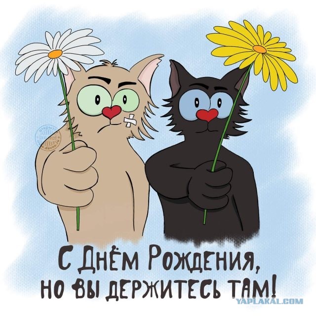 История с РСП в скриншотах. С фоткой попы этой самой РСП