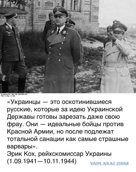 Смотрящий за бабушкой «не нацист»