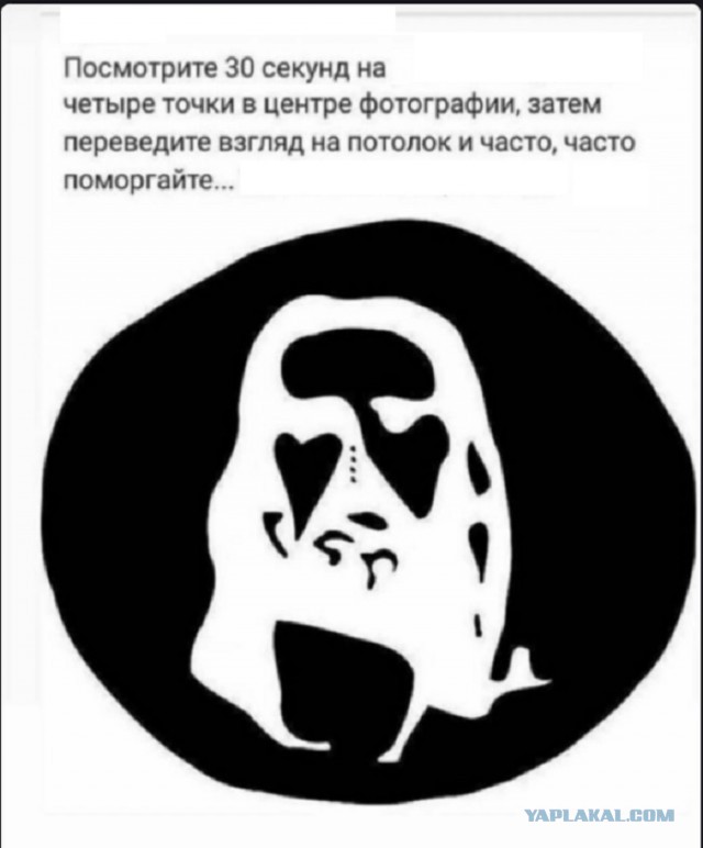 Картинки с надписями и всякие жизненные фразы