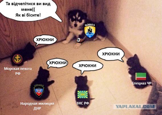 Короткое послание Бандерлогам