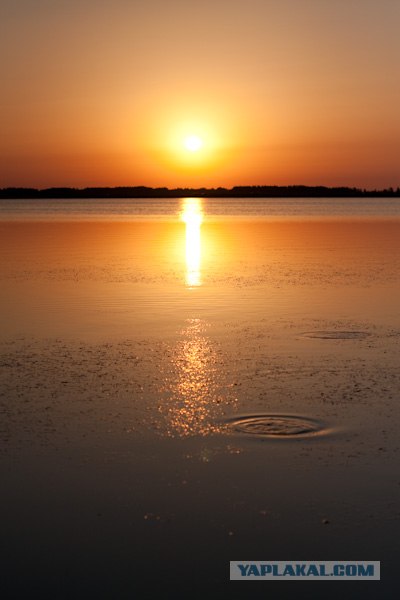 Утро на рыбалке.