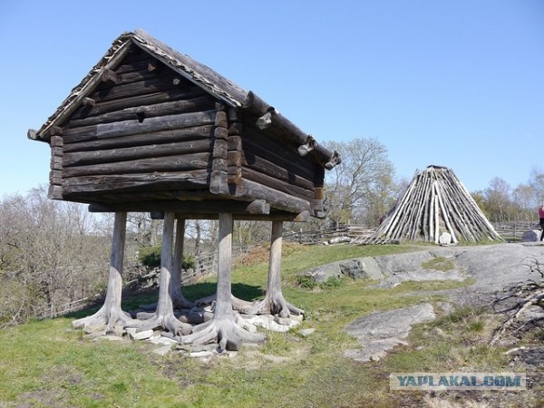 Что такое "Курьи ножки" ?