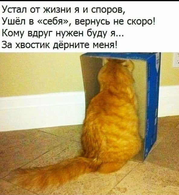 Немного картинок для настроения - 123