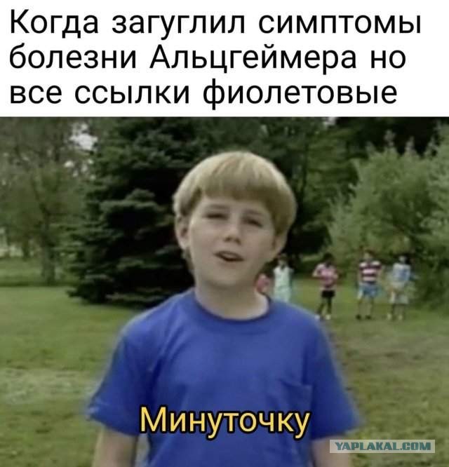 Весёлый полтишок 12.10.22