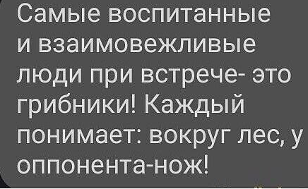 Житель Селятино в походе за грибами получил ножевое ранение