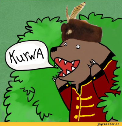 Подрезали поляка