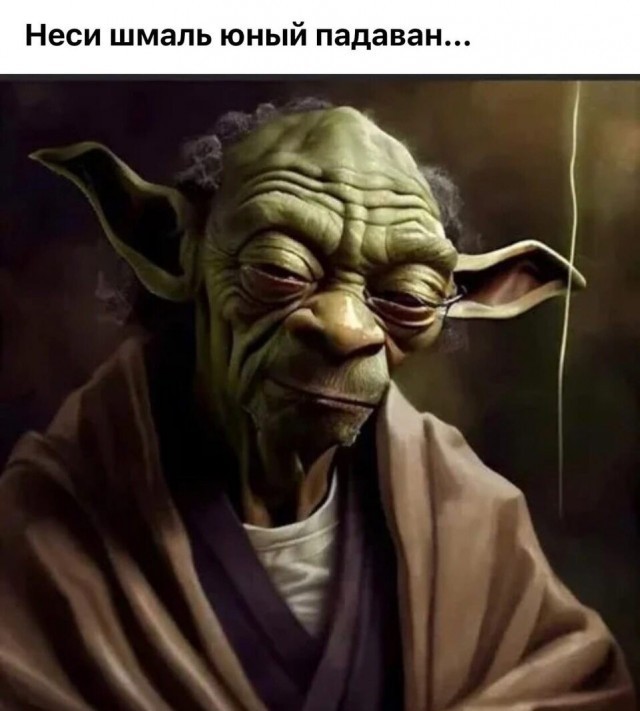 Хороший чемпионат