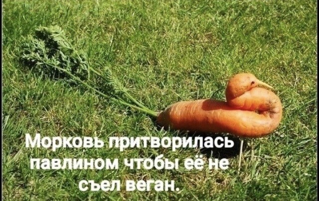 Картинки и мемы для настроения - 131