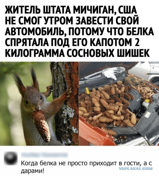 Картинки и мемы, всяко разно - 181