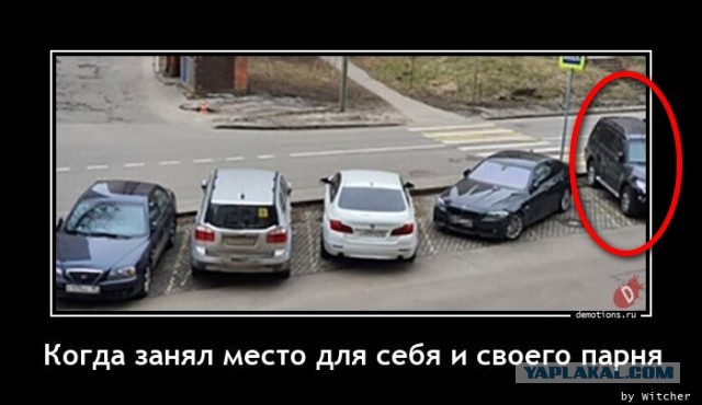 73 разных картинок для настроения - 4
