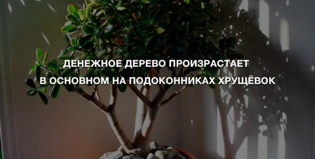 Восьмая подборка самых баянистых баянов! Ностальгируем...