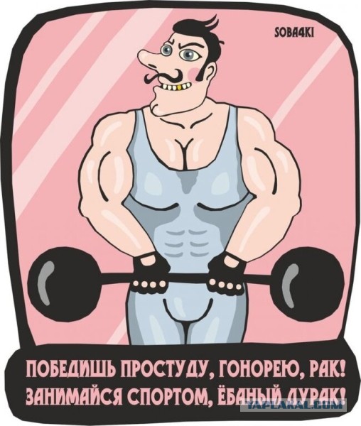 Жена-корова