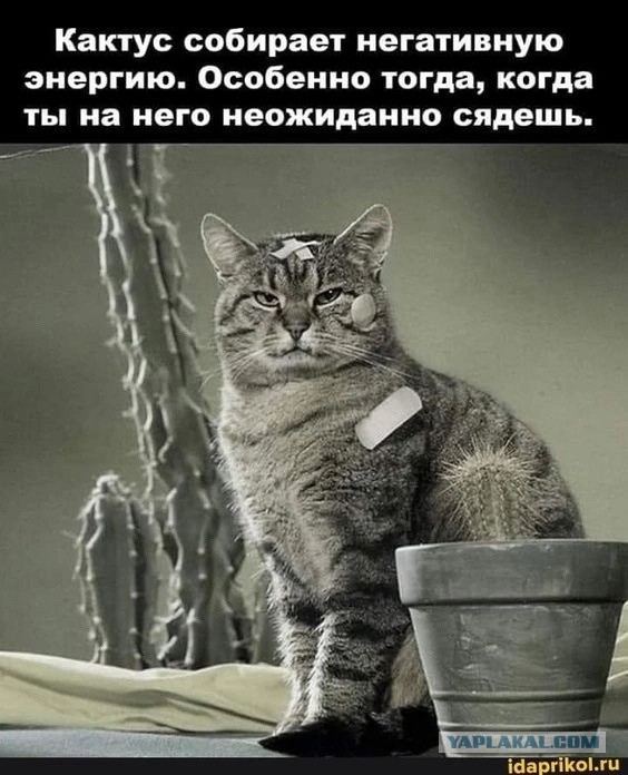 Заповеди мужика: не встречайся с чужой женой