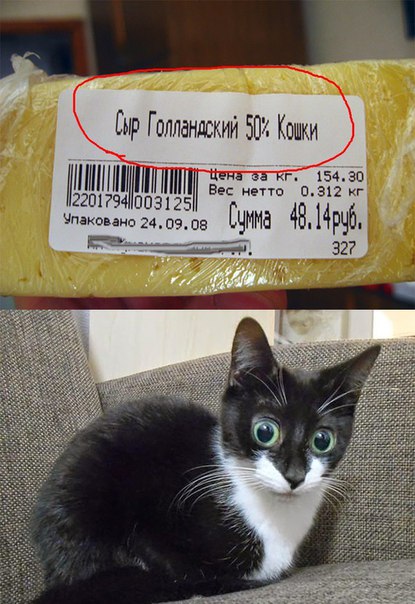 Всякая всячина