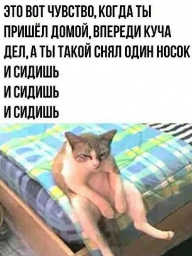 Забавные комментарии из социальных сетей (08.04.24)