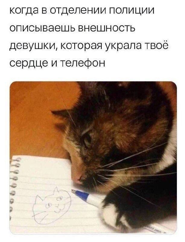 Так себе картинки 05.06.24