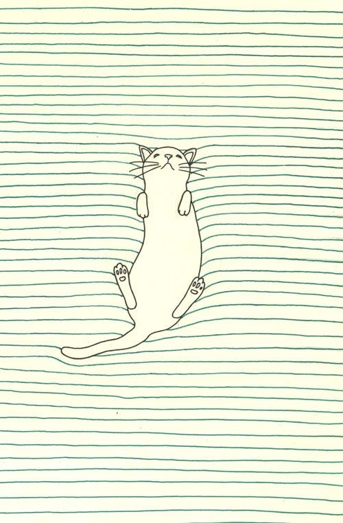Котоштрих