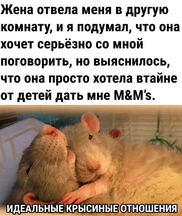 Веселые картинки в пятницу (10.01)